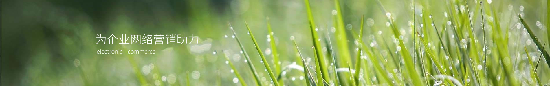ٴũҵƼ޹˾